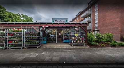 Blumen Nienhaus - Duisburg, Blumenladen in Duisburg