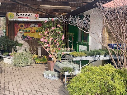 Gärtnerei Mehrings, Blumenladen in Wilhelmshaven