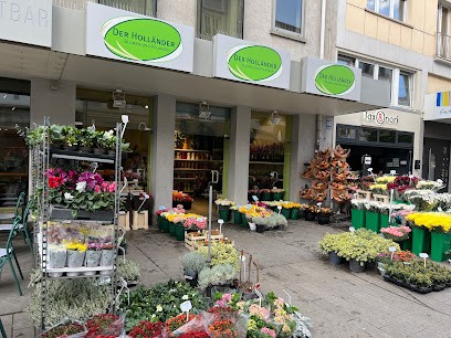 Der Holländer - Blumen & Pflanzen, Blumenladen in Würzburg