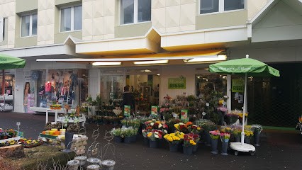 Blumen Risse Blumenladen Meschede, Blumenladen in Meschede