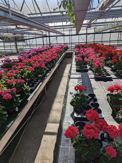 Gärtnerei Jähne | Hausham, Blumenladen in Hausham