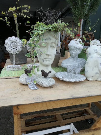 Paul Theodor Droste Blumenhandel, Blumenladen in Menden