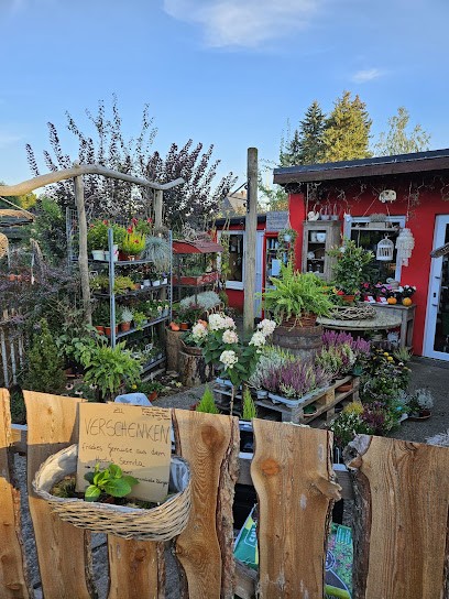 Blumen Wunderlich, Blumenladen in Freiberg