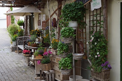 Blumenhaus Veith, Blumenladen in Dellfeld