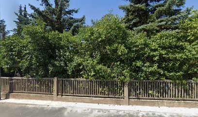 F. Binnewald, Blumenladen in Coswig