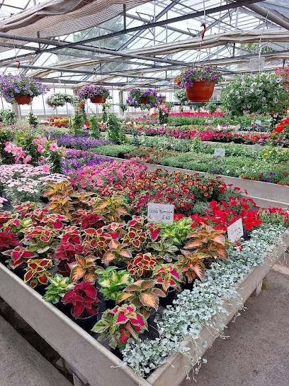 Heilmeier Gärtnerei, Blumenladen in Regensburg