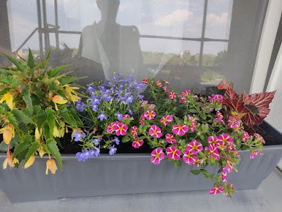 Sindy's Blumenpavillon, Blumenladen in Sandersdorf-Brehna