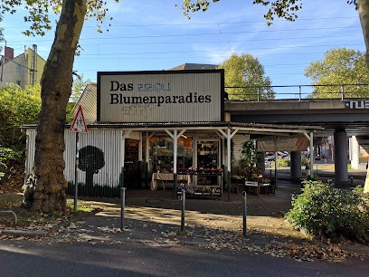Anke Güldenmeister, Blumenladen in Düsseldorf