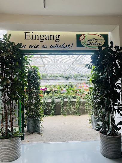 Blumenhaus-Gärtnerei Siebert Inh. Michael Köninger, Blumenladen in Oberkirch