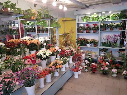 Johannes Schneider, Blumenladen in Schirgiswalde-Kirschau