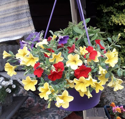 Stephan Saathoff, Blumenladen in Bockhorn