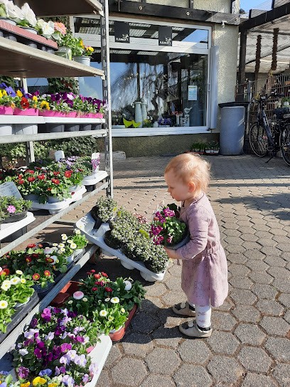 Floristik Jutta Kuppler, Blumenladen in Großmaischeid