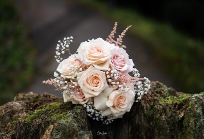Blatt Mit Stil - Martina Staiger Nachfolger - Floristik Und Pflanzen, Blumenladen in Lauterbach