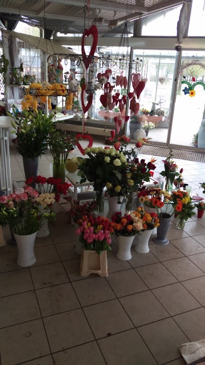 K.-H. Biesenberger, Blumenladen in Herbertingen