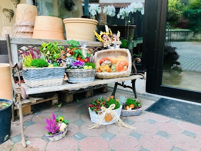 Gärtnerei & Floristik Zimmermann GmbH, Blumenladen in Treis-Karden