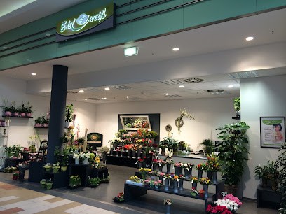 Blumen Edelweiß Baunatal Ratio, Blumenladen in Baunatal