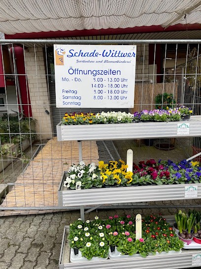 Schade Und Wittwer, Blumenladen in Kassel