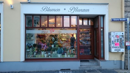 Blatt Und Blüte Stefan Gerboth, Blumenladen in Saalfeld