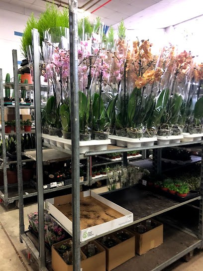 Blumenwelt Breedijk GmbH, Blumenladen in Plattling