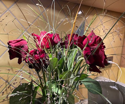 .blumenbodo, Blumenladen in Nienburg