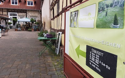 LongiFlorum Jutta Präkelt, Blumenladen in Nidderau