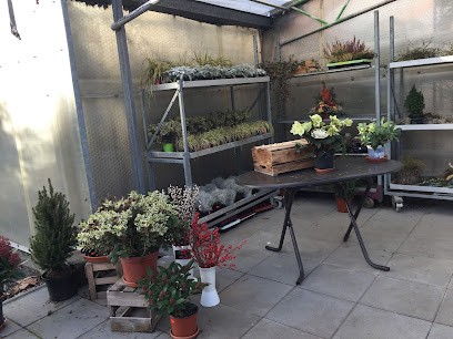 Blumenfreund Feindt Blumenhaus Und Gärtnerei, Blumenladen in Markkleeberg