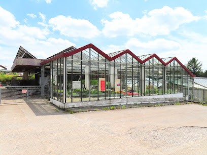 Jenny Mannhardt Blumen-Pflanzen-Floristik, Blumenladen in Mühlacker