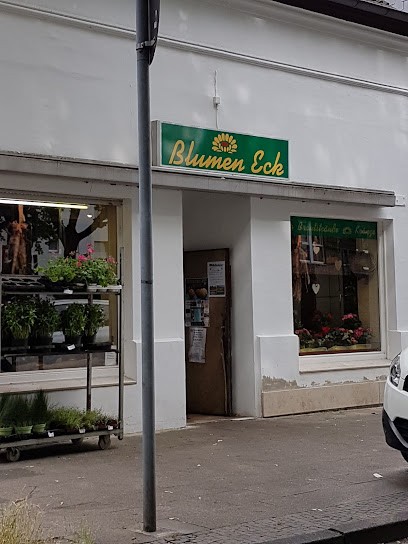 Blumenvertriebs GmbH Kolmans, Blumenladen in Oberhausen