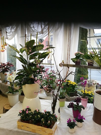 Plewa Karin Blumen, Blumenladen in Neustadt in Sachsen