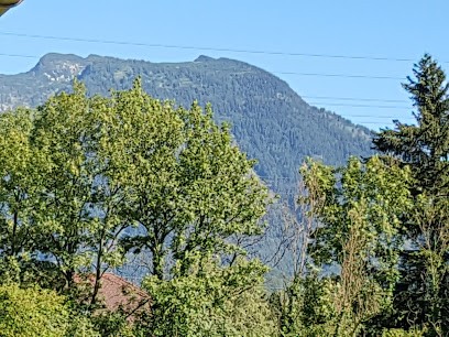 LobbyGreen, Blumenladen in Piding