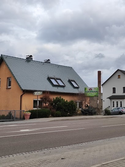 Gärtnerei Hofmann, Blumenladen in Bannewitz