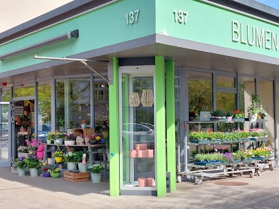 Ulrich Kampschulte Blumen, Blumenladen in Hamm