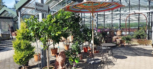 Steiner Floralmanufaktur, Blumenladen in Laufen