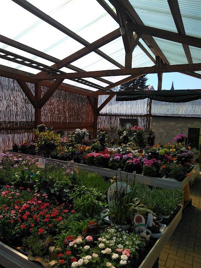 Blumenladen Schüler, Blumenladen in Geisa