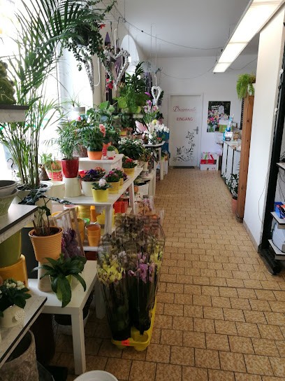 Stephan Kroker Ambiente, Blumenladen in Jena