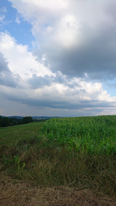 Gärtnerei Hartung Dermbach, Blumenladen in Dermbach
