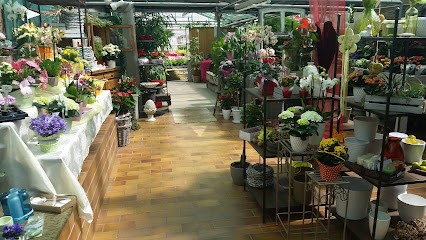 H. Kampmeier, Blumenladen in Kalletal