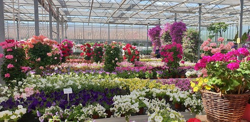 Gärtnerei Prentl, Blumenladen in Rosenheim