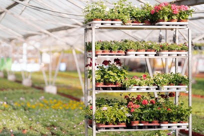 Gartenbau- Und Handelsunternehmen Mühe GmbH, Blumenladen in Grimma
