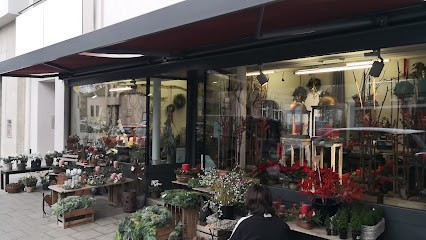 Blumen Atelier Armin Schlegel, Blumenladen in Augsburg