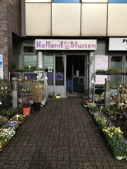 Holland Blumen, Blumenladen in Laatzen