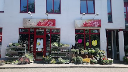 Blumen Blütentraum Inh. U. Meller, Blumenladen in Stolberg