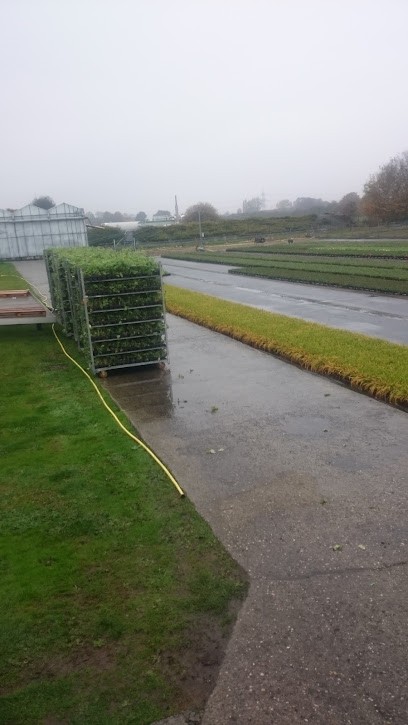 Beerlage, Blumenladen in Billerbeck