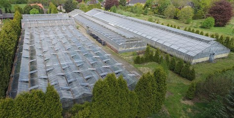 Gärtnerei Beese, Blumenladen in Hemmoor