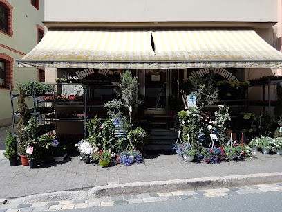 Holland Blumen, Blumenladen in Hollfeld