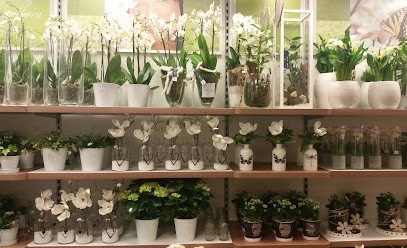 Bart & Bastian Blumenshops GmbH, Blumenladen in Emmerich