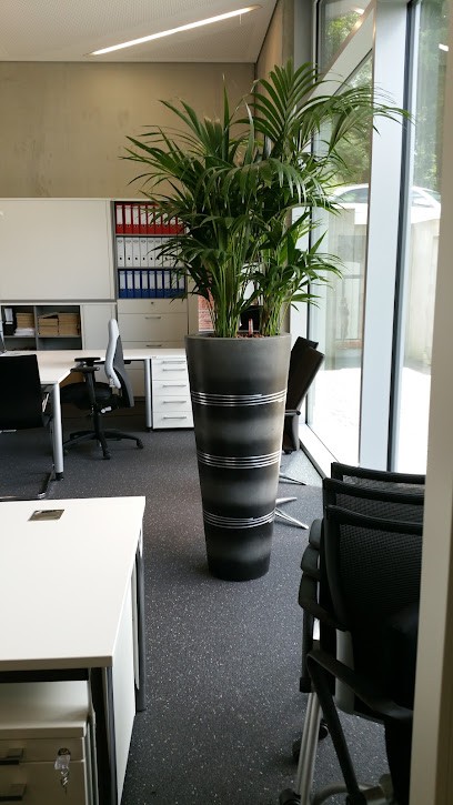 Planzen Markus, Blumenladen in Wilnsdorf