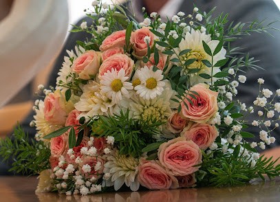 Blumenstube Reus - Hüpfburgverleih - Zeltverleih, Blumenladen in Münster