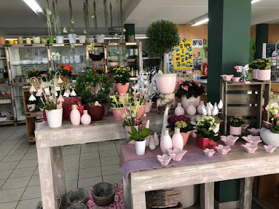 Blumen Ines, Blumenladen in Otterberg