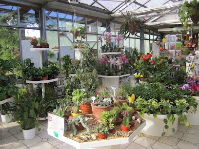 Blumen-Neumann GbR, Blumenladen in Mittelherwigsdorf